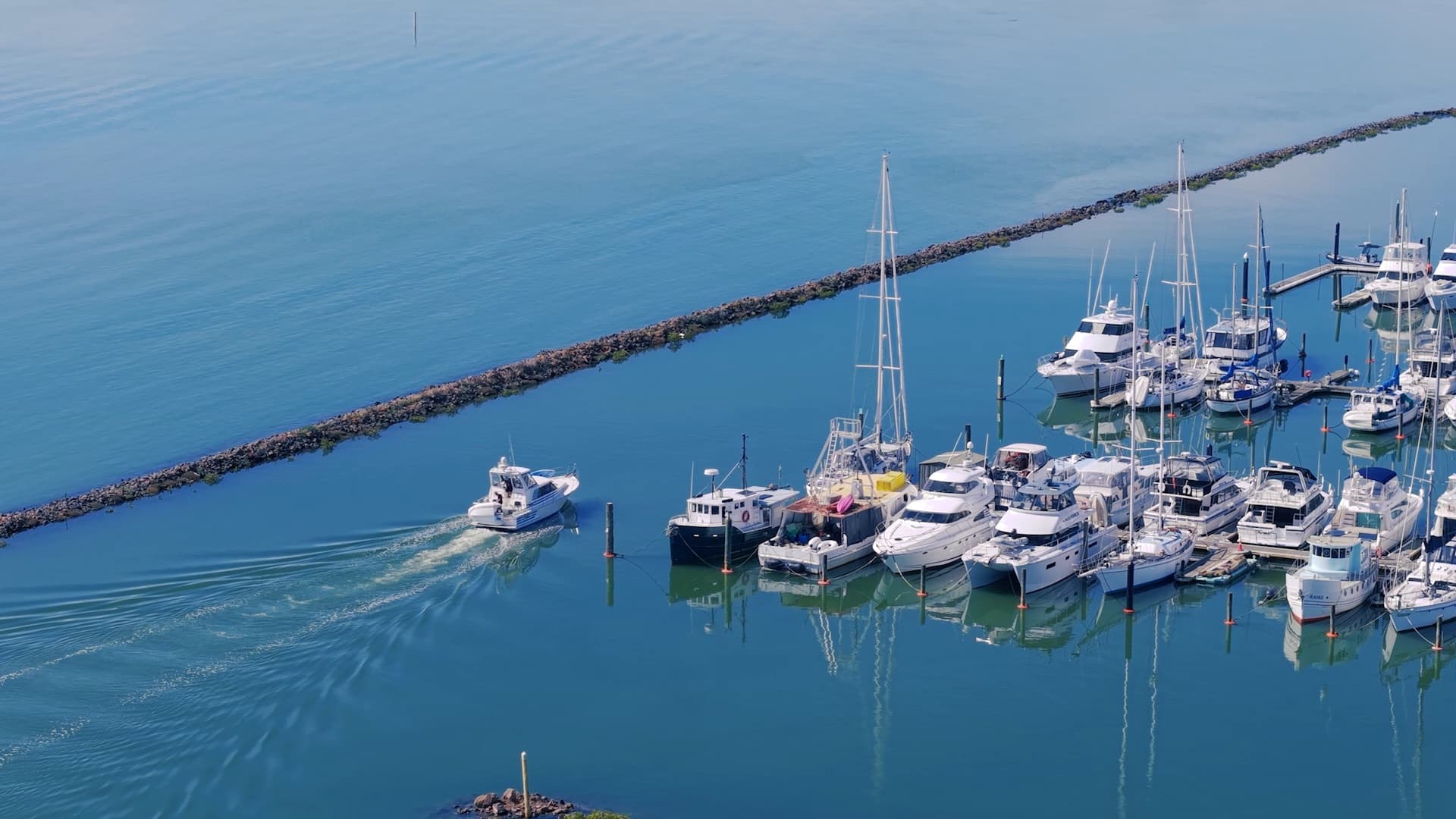 Hobsonville Marina and moored boats from above